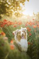 Jérémy DUCROT - BOUGNAT PHOTOS